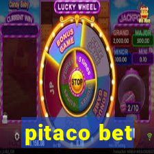 pitaco bet